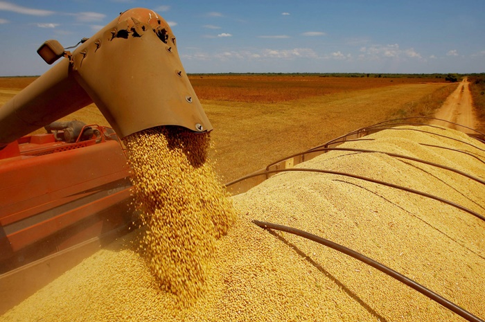 Safra de grãos será menor no Amazonas, aponta Conab