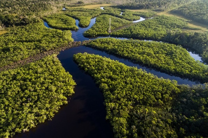 Amazônia, o justo e o predador