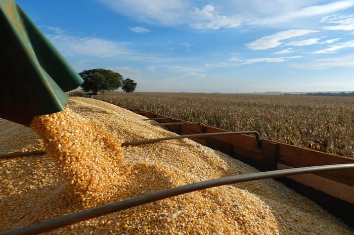 Agropecuária pode registrar R$ 703,8 bilhões em 2020, diz ministério Agropecuária pode registrar R$ 703,8 bilhões em 2020, diz ministério