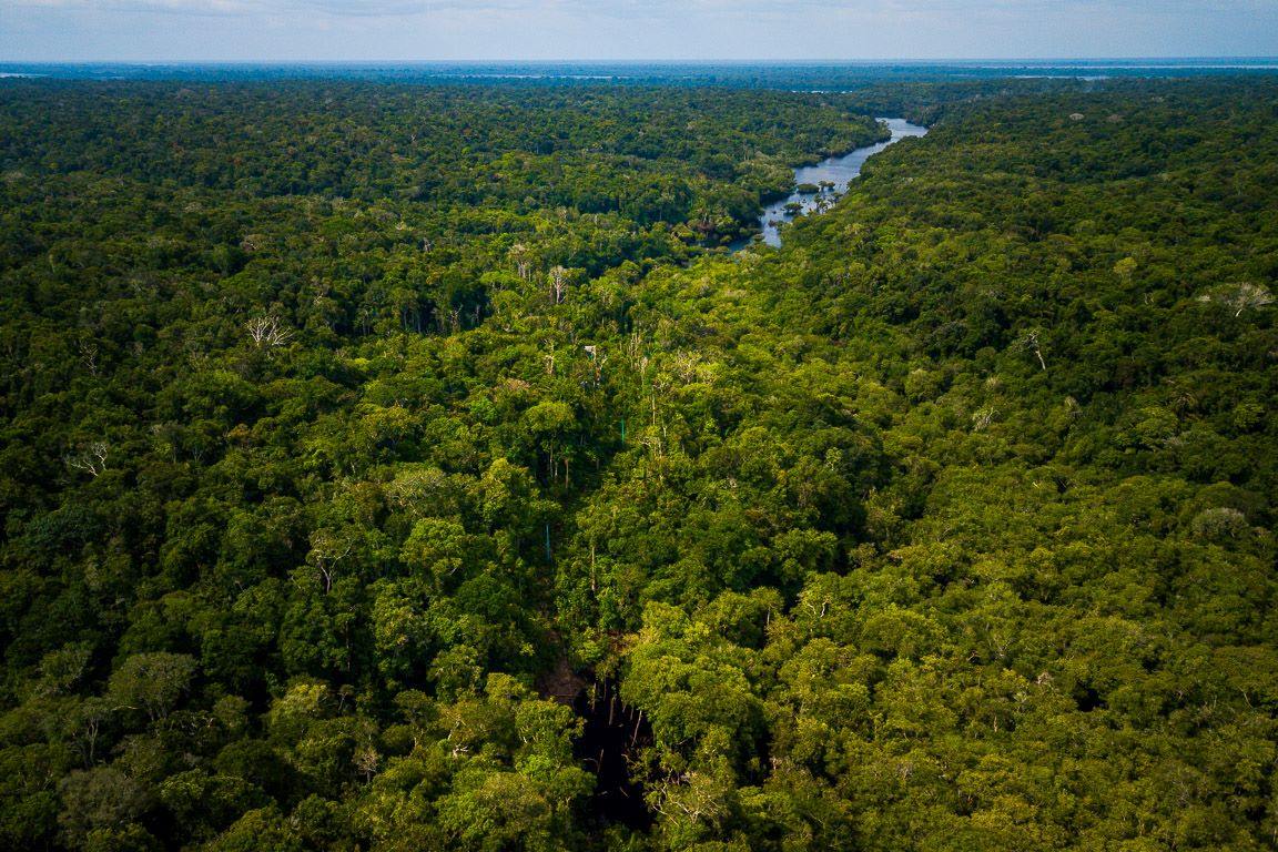 Amazônia, a salvação virá dos bancos?