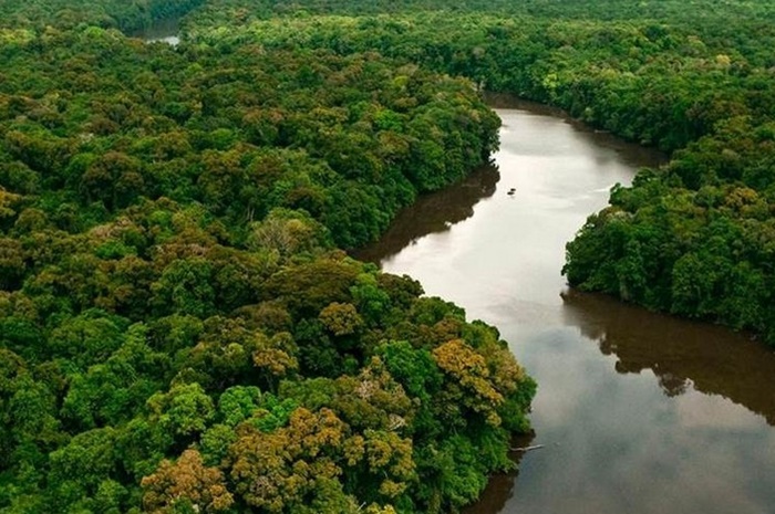 Qual é a agenda do Exército da Salvação da Amazônia?