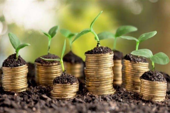 Bioeconomia contra o desmatamento Bioeconomia contra o desmatamento