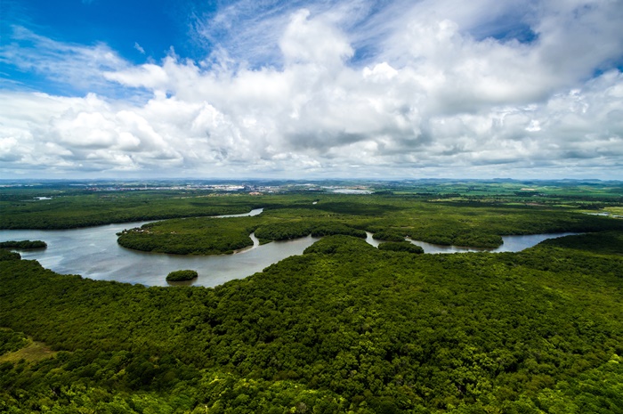 O que significa abraçar a Amazônia?
