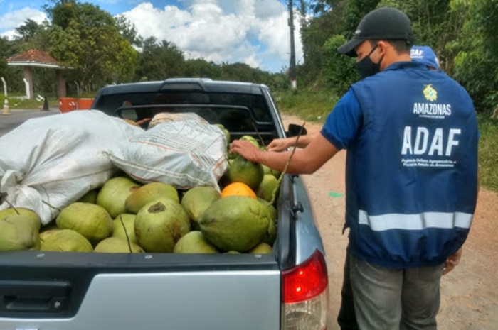 Adaf orienta produtores para o transporte de animais e vegetais no AM