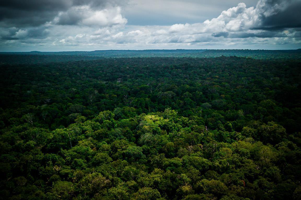 Fundo Amazônia, desprezo, ignorância ou incompetência?