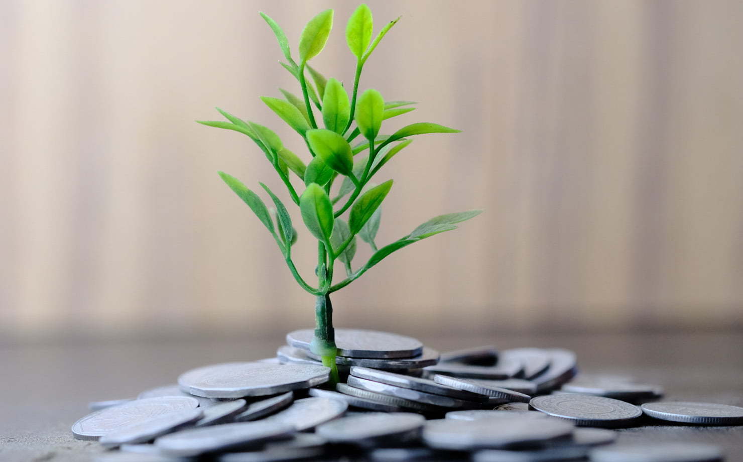 Nova taxa “Fundo Verde” … O pote está transbordando… Parte II