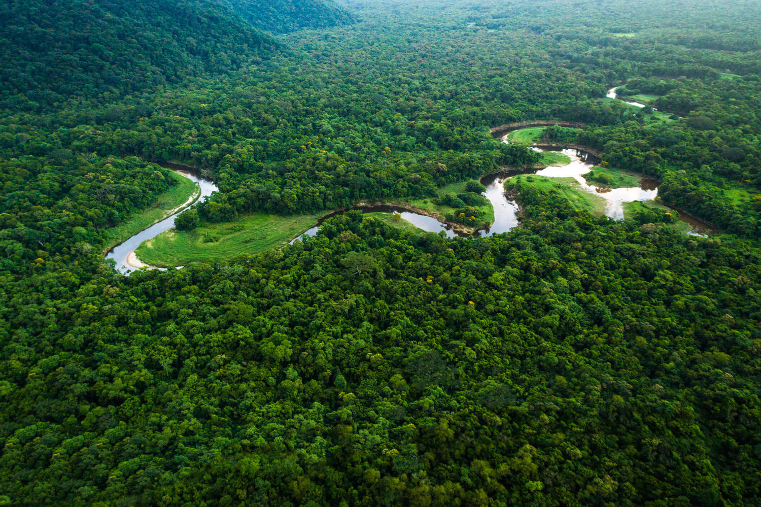 Amazônia e os green bonds da fotossíntese