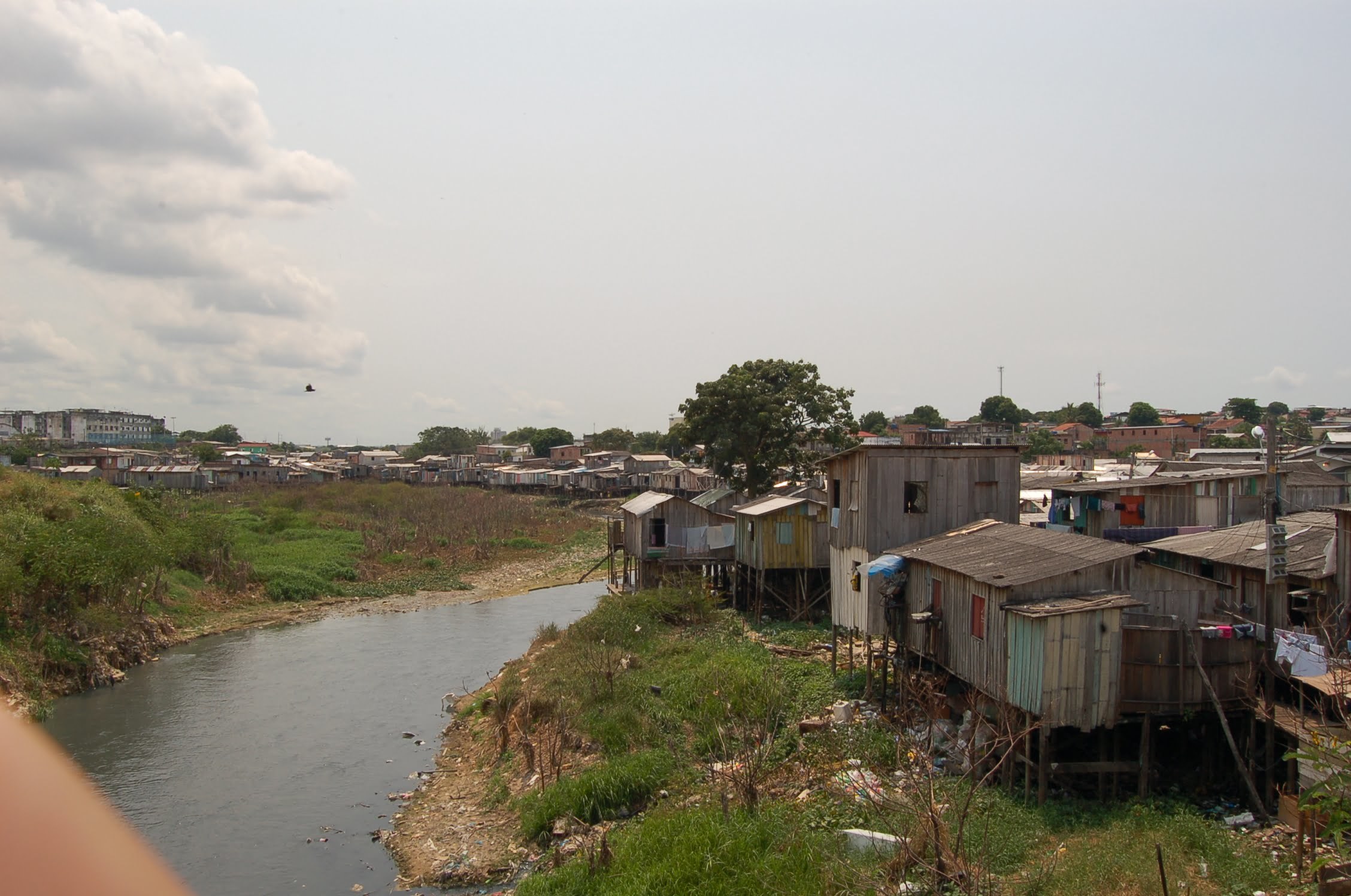 Quase metade da população do Amazonas está na extrema pobreza