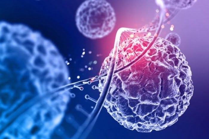 Pela 1ª vez, envelhecimento de células humanas é revertido