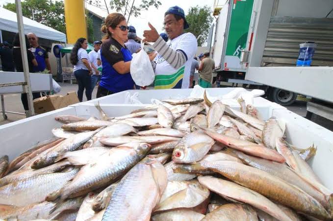 Amazonas lidera o consumo de peixes no país