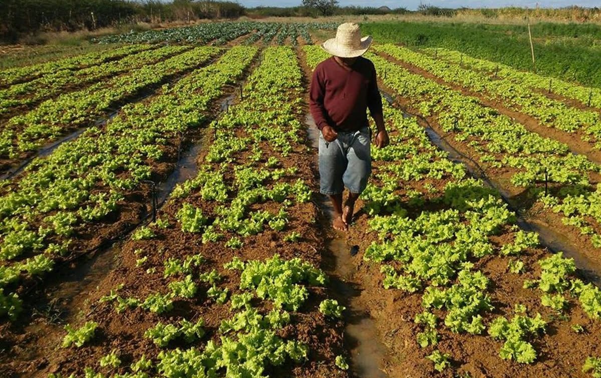 Bolsonaro defende agricultores durante a pandemia