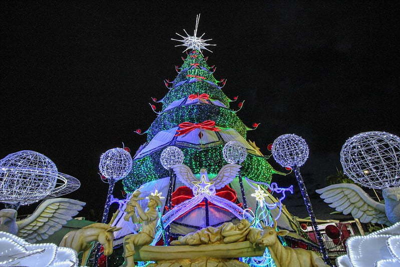 Prefeitura acende, na Ponta Negra, a maior árvore do “Natal do Abraço”