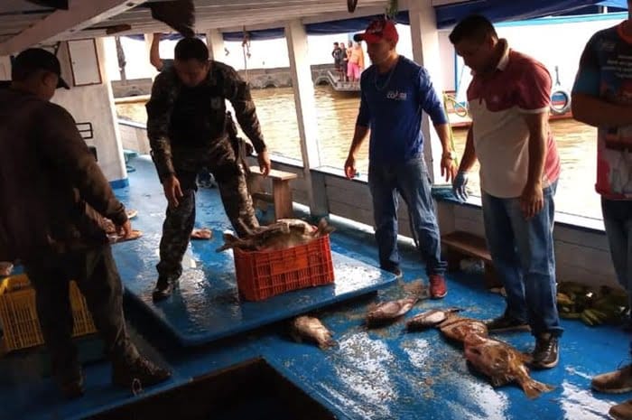 Três toneladas de pescado ilegal são apreendidos em Coari
