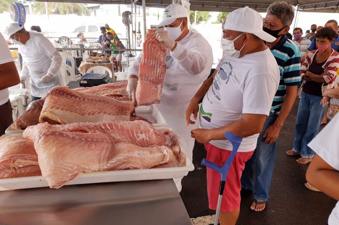 Feira do Pescado Indígena comercializa 20 toneladas de pirarucu em Manaus
