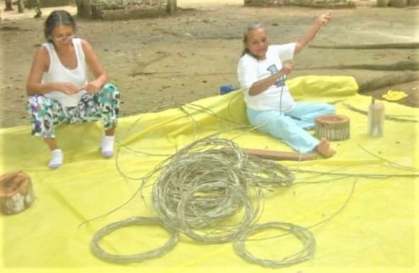 Cipó-titica, o rei da mata - cipo 1 3 Cipó-titica, o rei da mata - cipo 1 3