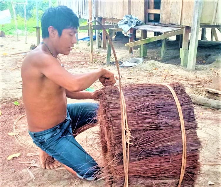 Fibra da piaçaba que só tem na Amazônia - 2103 B1a Fibra da piaçaba que só tem na Amazônia - 2103 B1a