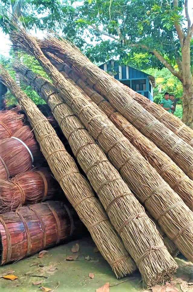 Fibra da piaçaba que só tem na Amazônia - 2103 B1c Fibra da piaçaba que só tem na Amazônia - 2103 B1c