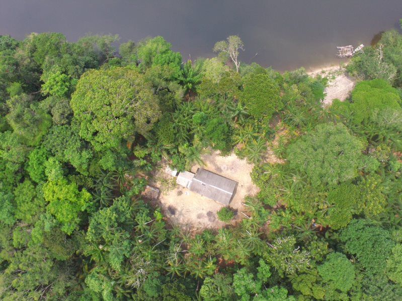 Moradores do Rio Manicoré, no interior do Amazonas, lutam contra a exploração ilegal do território - mancore conservacao