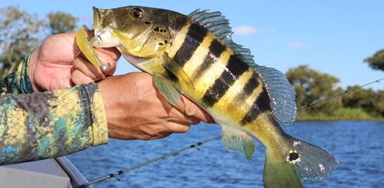 Vem aí a 1ª Feira de Pesca Esportiva para animar o turismo receptivo - 2006 A4a