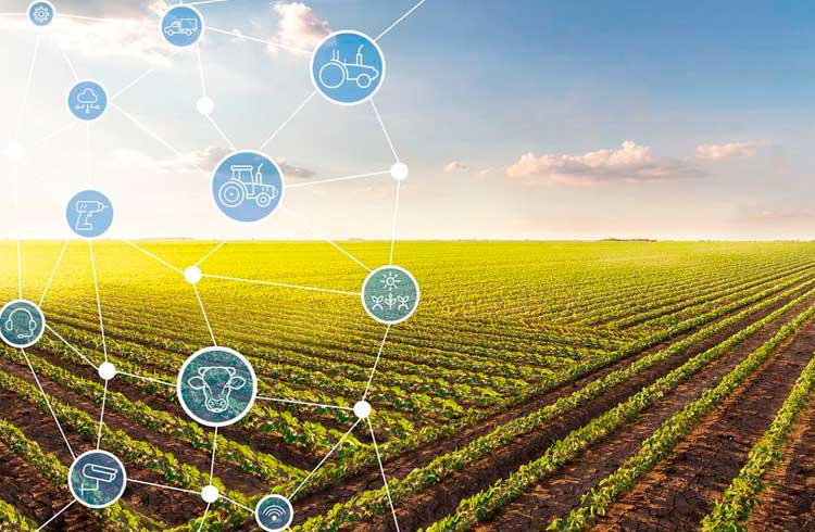 Blockchain no agronegócio precisa ser explorado - 2006 A4c Blockchain no agronegócio precisa ser explorado - 2006 A4c