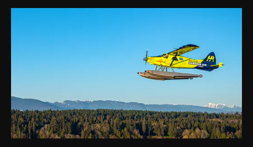 Primeiro voo comercial com avião elétrico é feito com sucesso - 2408 B2b