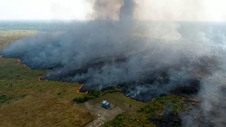 Amazônia tem recorde de queimadas em 24 h e supera o 'Dia do Fogo' de 2019 - dia do fogo