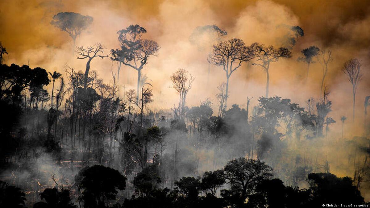 Incêndios na Amazônia enchem de fumaça céu de cidades na região - queimada 1 Incêndios na Amazônia enchem de fumaça céu de cidades na região - queimada 1