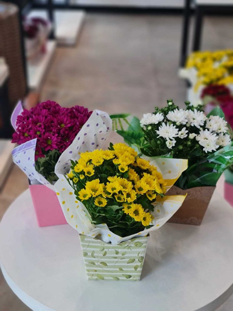 Dia de Finados fomenta comércio de flores em Manaus - Comercio de flores