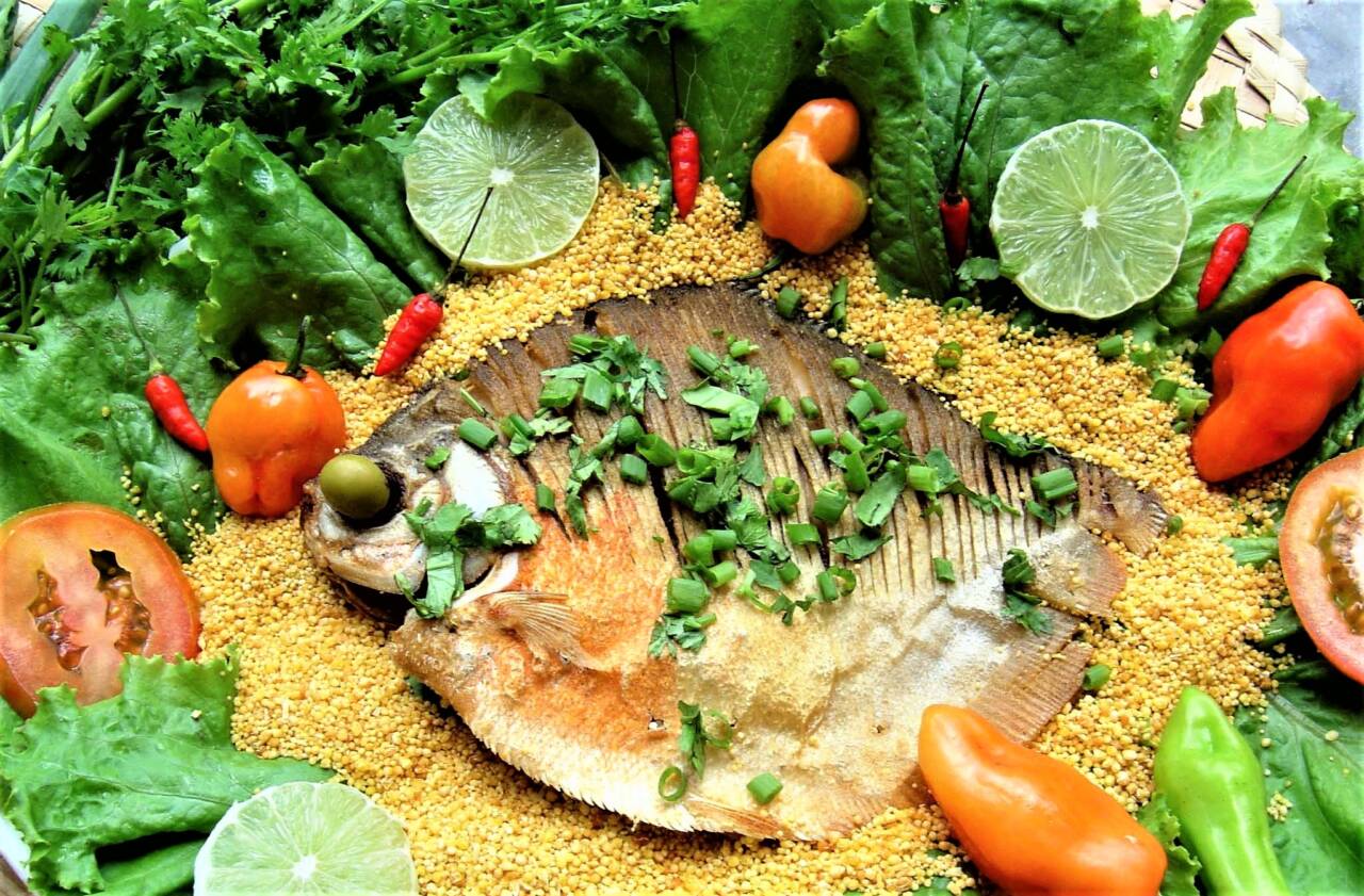 <strong>Um dia com peixes fritos</strong> - AA pacu 2