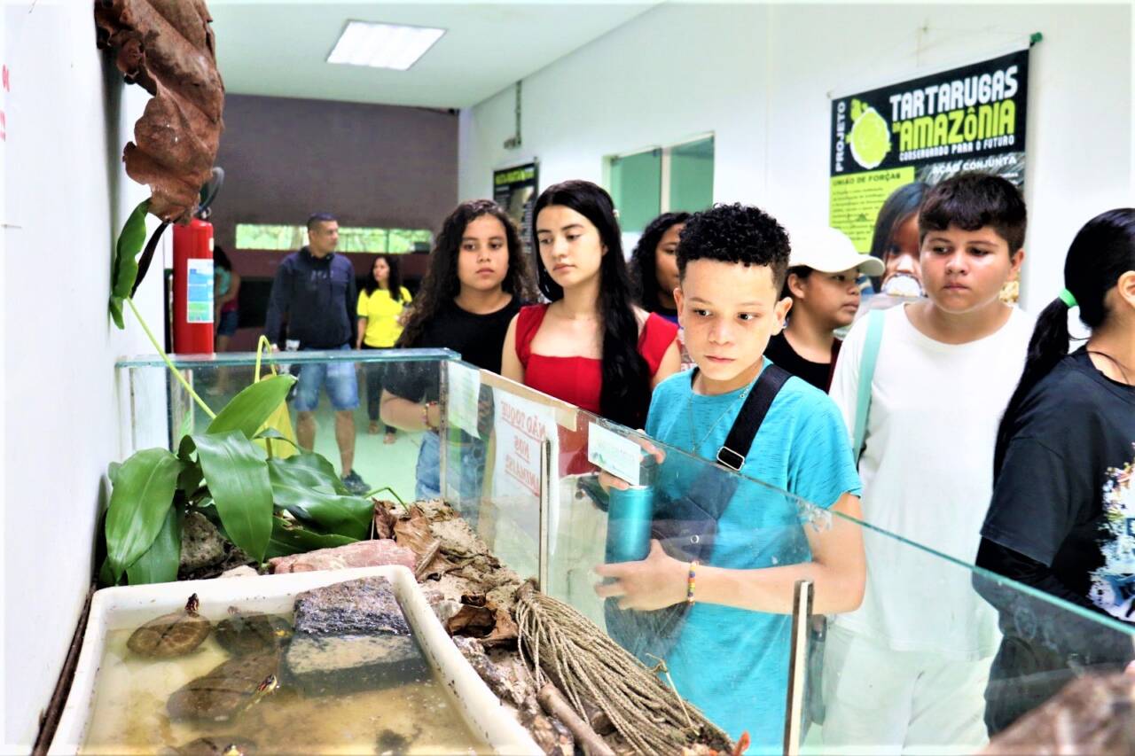 Institutos atuam em diversas frentes ambientais no Amazonas - B1c 1