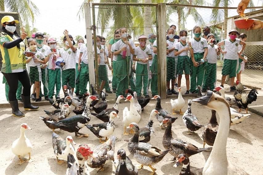 Educação ambiental em voga na rede pública de ensino - Ed11