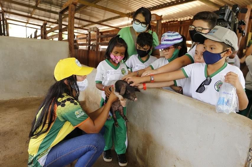 Educação ambiental em voga na rede pública de ensino - Ed9