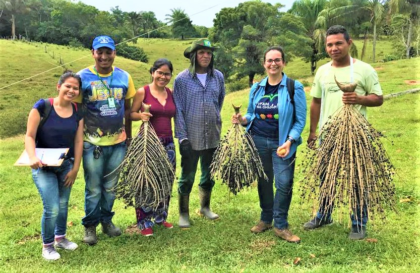 Klenicy Yamaguchi: “O açaí demonstra benefícios à saúde” - B1b 6