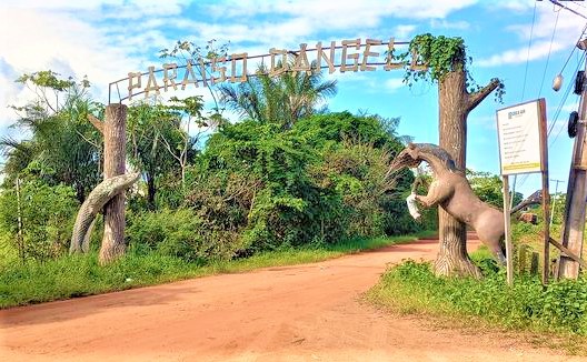 Manacapuru, a cidade do turismo e das cirandas - B1c 10