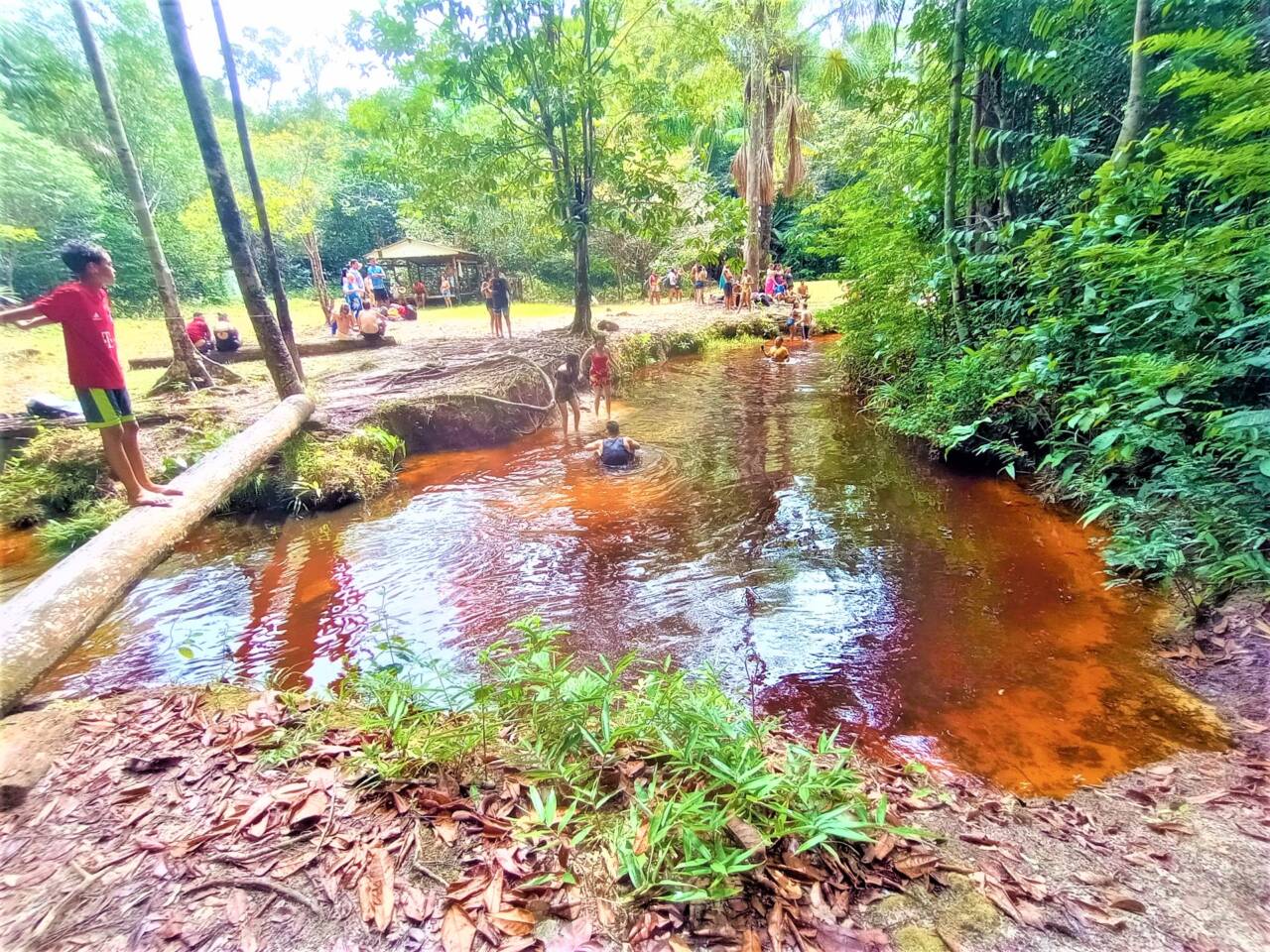 Presidente Figueiredo e suas cachoeiras continuam a atrair milhares de visitantes - B1c 3