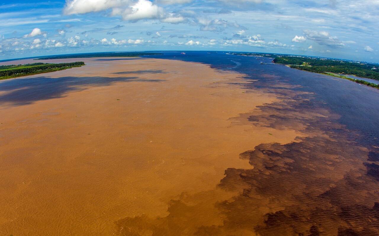 Amazonas é destaque em campanha na Times Square nos EUA - turismo br foto