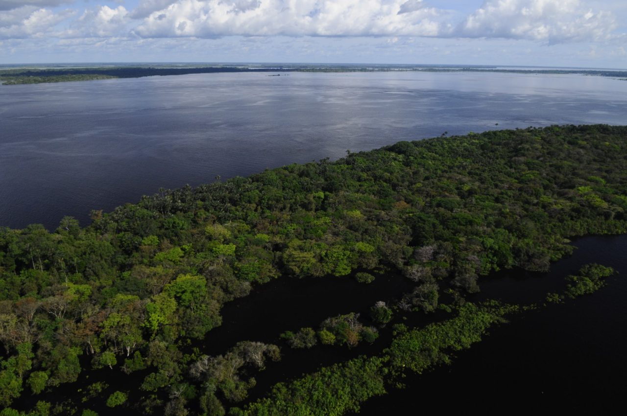 ‘O Brasil é a maior vítima do aquecimento global’ - Floresta Foto Anselmo DAffonseca
