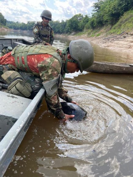 Operação Ágata: Exército Brasileiro realiza ações integradas na faixa de fronteira amazônica - foto 12 Operação Ágata: Exército Brasileiro realiza ações integradas na faixa de fronteira amazônica - foto 12