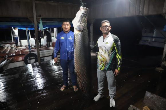 Pescadores iniciam pesca manejada de pirarucu no Amazonas - pescapirarucu