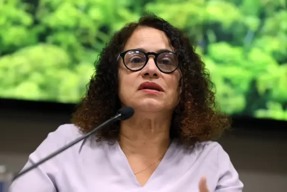 Alertas de desmatamento na Amazônia caem 46% em um ano - 20240806170611 0d7a8762