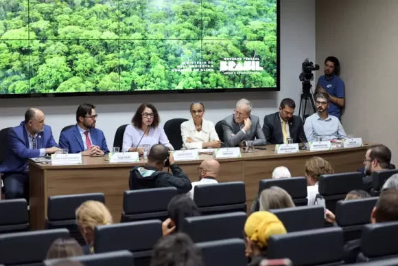Alertas de desmatamento na Amazônia caem 46% em um ano - 20240806170904 0d7a8783