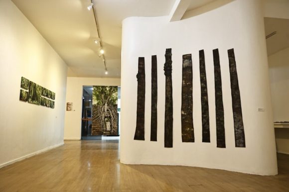 Galeria do Largo inaugura ‘Mostra de Artes Visuais 2024 – Diversas Naturezas’, nesta sexta-feira - WhatsApp Image 2024 08 08 at 15.25.06 1 1 1024x682 1