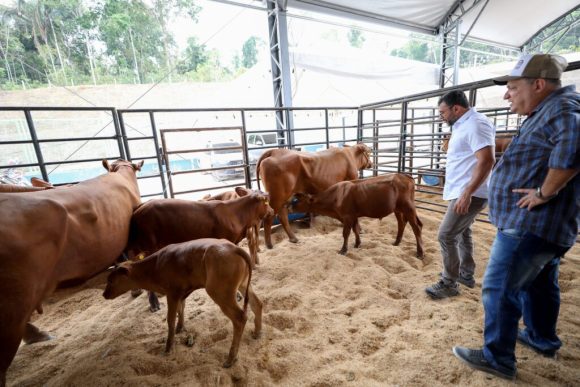 Governador Wilson Lima abre 46ª Expoagro destacando ações para fortalecer setor afetado pela estiagem - Governador Wilson Lima abre 46a Expoagro destacando acoes para fortalecer setor afetado pela estiagem Foto Alex Pazuello 1 1024x683 1