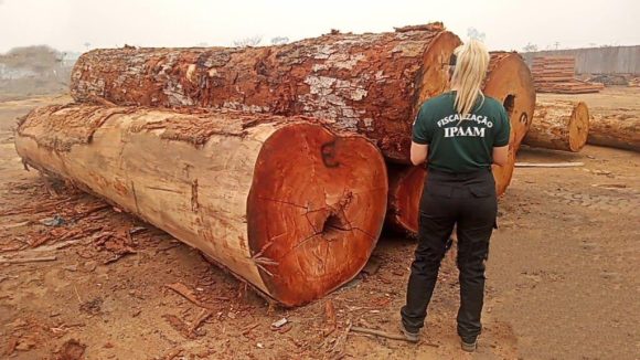 Operação Tamoiotatá: Ipaam aplica mais de 100 milhões em multas, em 140 dias de operação no sul do Amazonas - Ipaam 2 Operacao Tamoiotata Foto Divulgacao Ipaam 1024x576 1